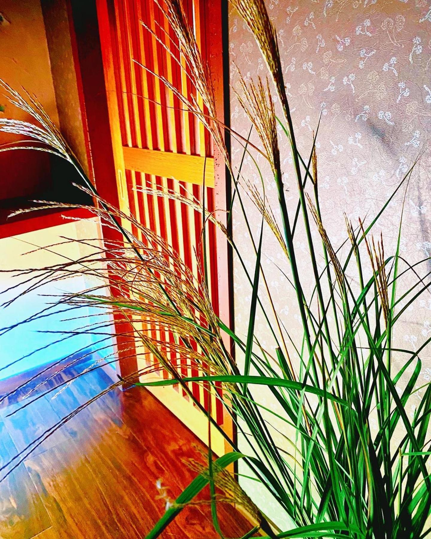 Private Villa Ietona 富士河口湖町 エクステリア 写真